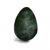 avocado8x8