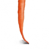 carrot8x8