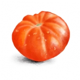 tomatoart8x8