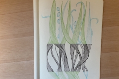 4EE9EF47-D796-4169-BCC3-76E59BB5128D