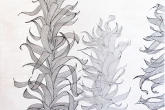 F7C00C79-D864-4DBB-B86D-D23220110A8E